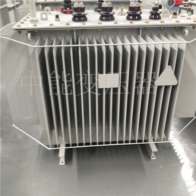 大庆S20-800KVA变压器